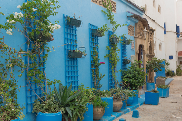 4 Tips to Adjust to a New Neighborhood